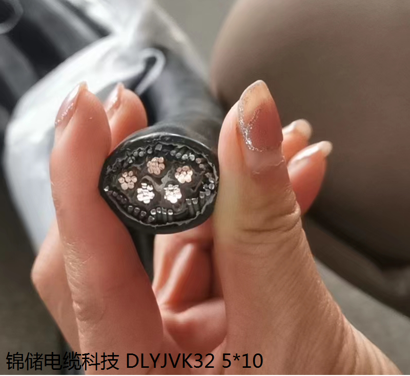 DLYJVK32   5*10